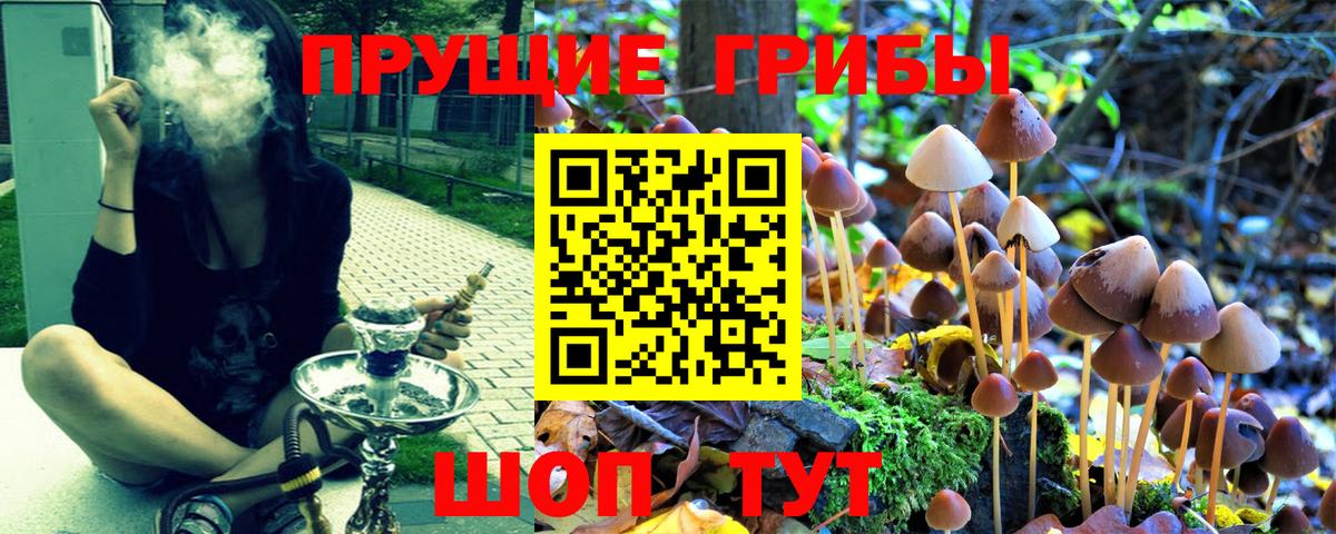 Псилоцибиновые грибы GOLDEN TEACHER  Вход с VPN  Рыбинск 